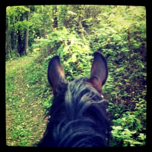 Trail riding with Rooie